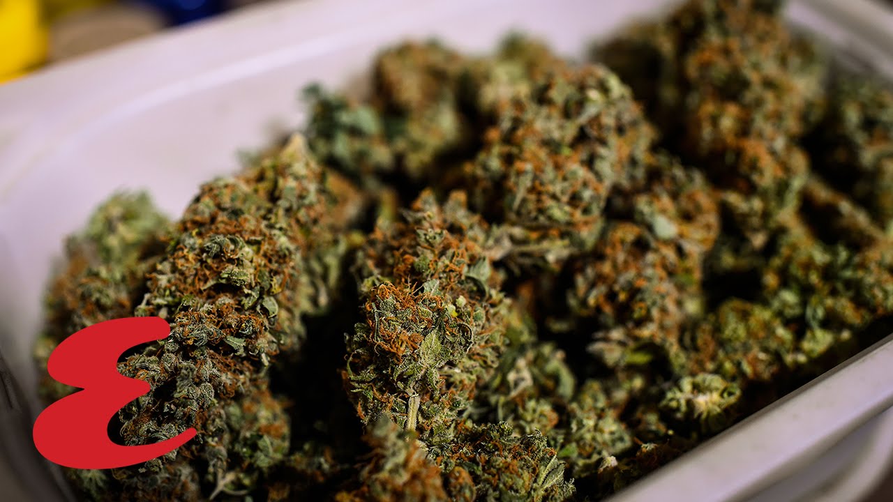 Why Smoking Tobacco is Worse Than Smoking Weed