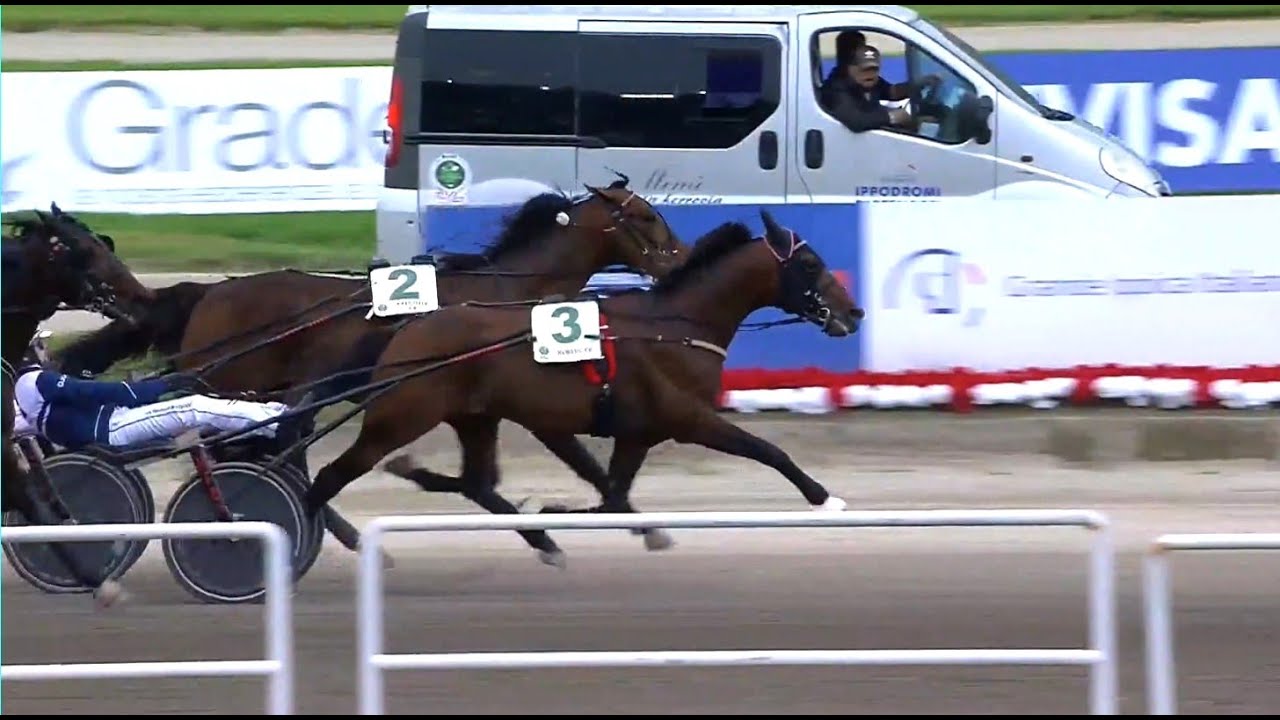 Always Ek & Magnus Djuse vinner Gran Premio Lotteria (715 000 Euro) i Neapel. Tid 1.10,3a/1 600 m.