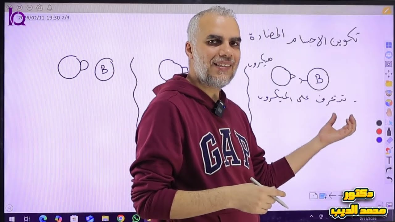 الأجسام المضادة