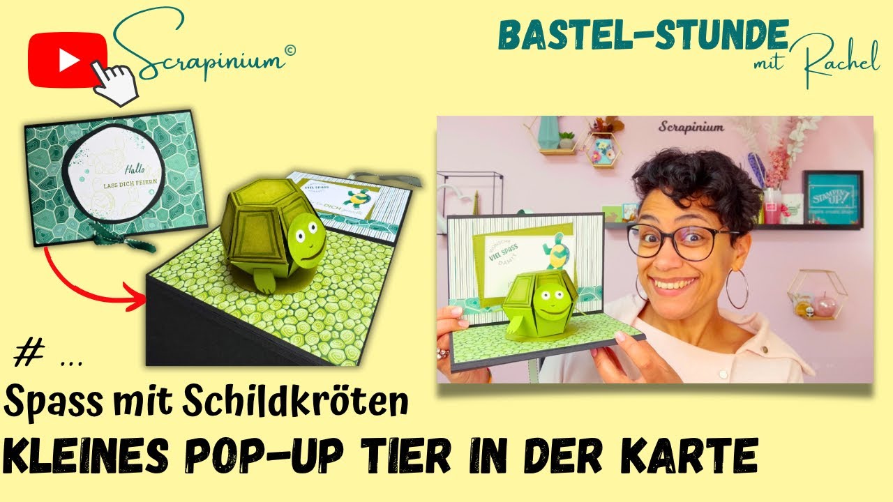Anleitung Kleines Pop-up Tier in einer Karte - Schildkröten Stampin’ Up