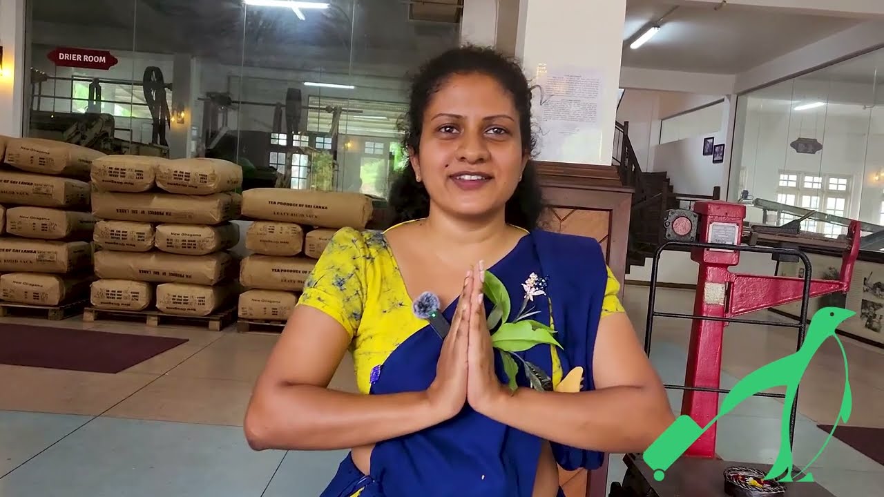 New Giragama Tea Factory, Pilimathalawa, Sri Lanka