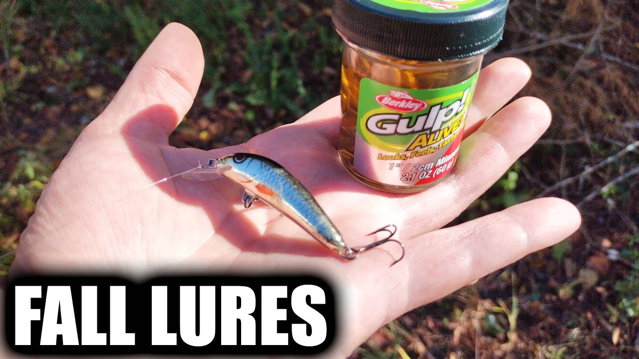 Fall Fishing Lures - Jerkbait vs Gulp Minnow! Which Catches More Fish?