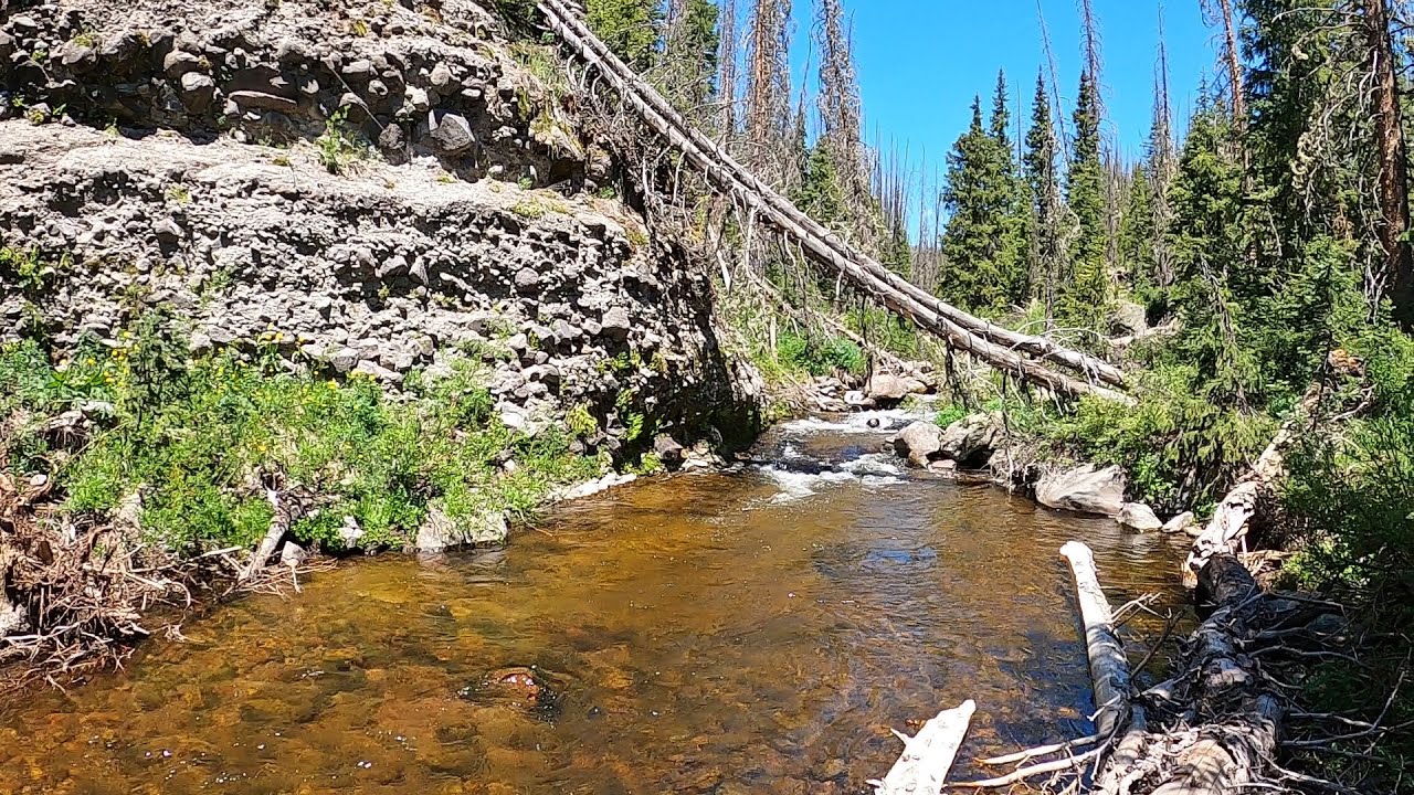 This stream is UNREAL - pools of wild browns + When to fish a DRY/DROPPER rig over a single DRY!