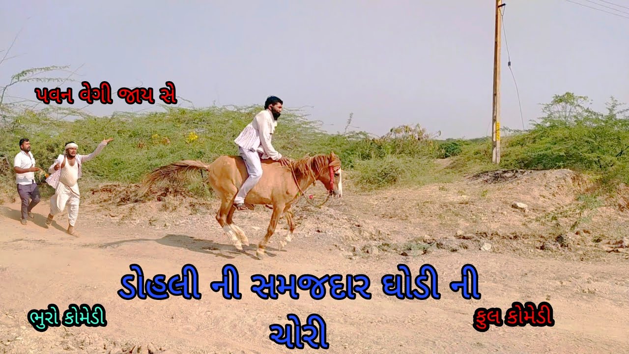ડોહલી ની સમજદાર ઘોડી ની ચોરી |bhurocomedy |gujaraticomedy |bccomedy