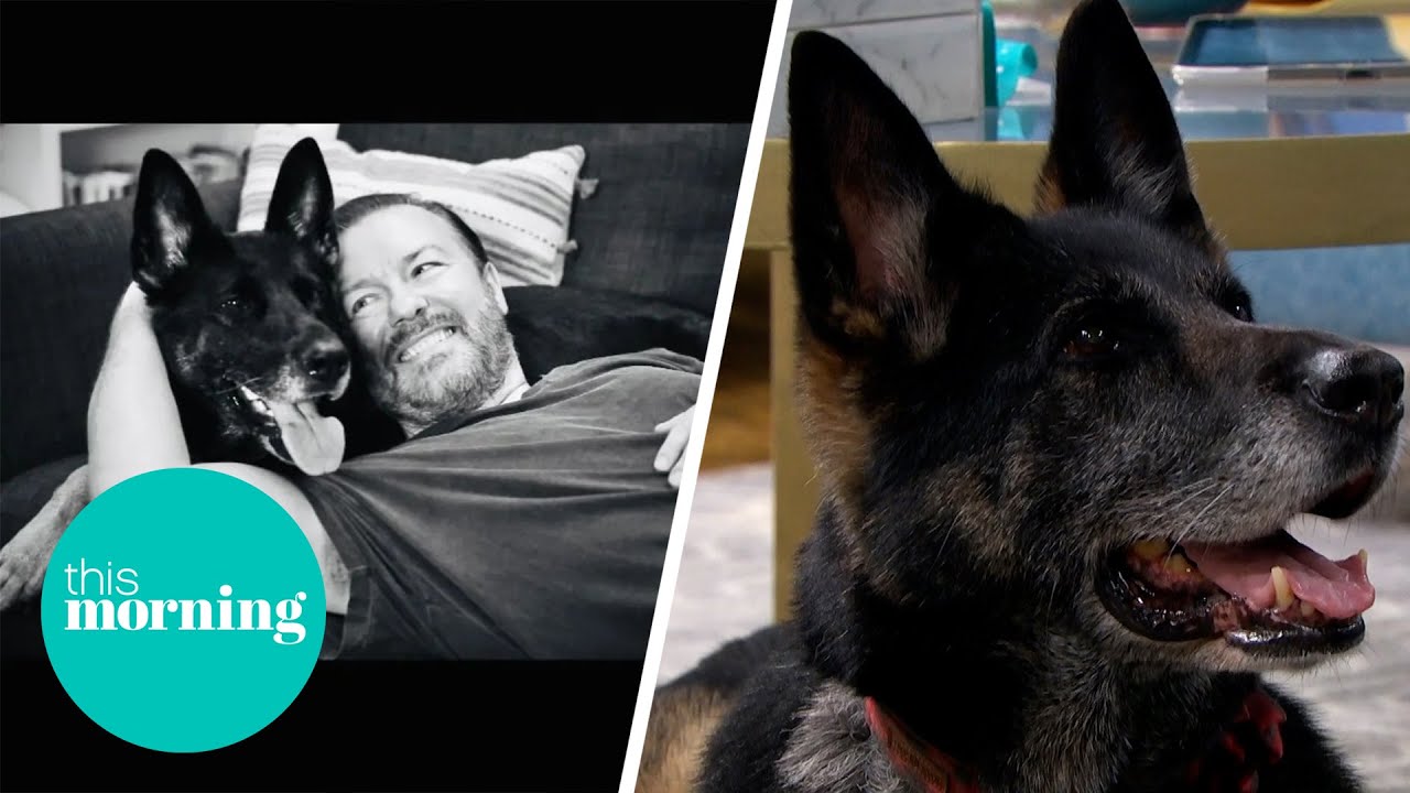 The Star Of Ricky Gervais' 'After Life': Anti The Dog Is In The Studio & Showing All Her Tricks | TM