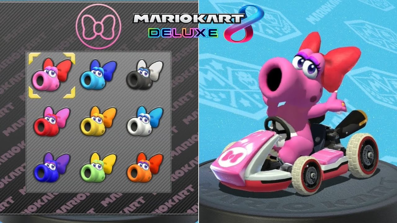 Mario Kart 8 Deluxe // All Birdo Characters