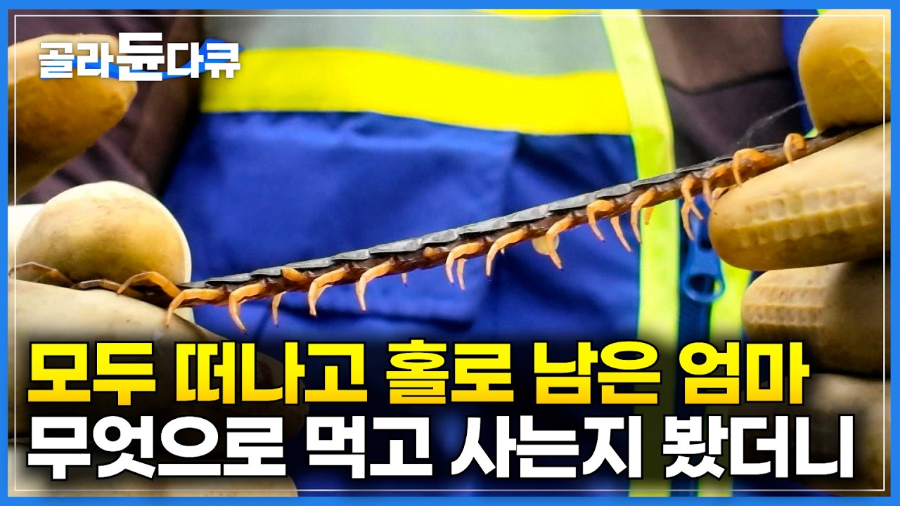 한 달 바짝 벌면 3,000만원?｜남편도 자식도 다 떠나고 혼자 섬에 남은 엄마, 지네 주워서 너무 잘 먹고 잘 산다｜안마도 지네 잡이｜한국기행｜#골라듄다큐