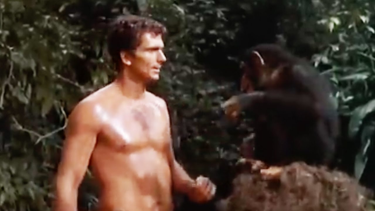 Tarzan (1966) | Looking For Tarzan: Season 1 Clip | World of Warner Bros.
