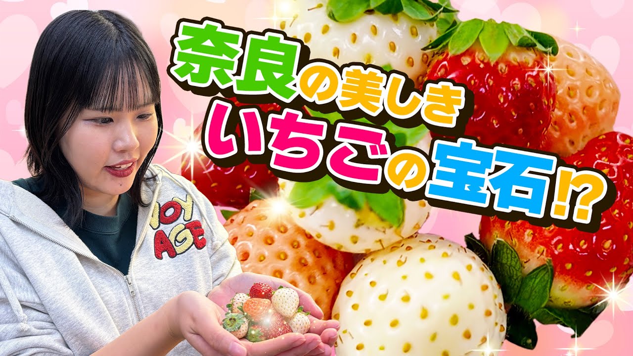 赤だけじゃない!?白,ピンクのいちごもお届け!~奈良県産いちごのご紹介~