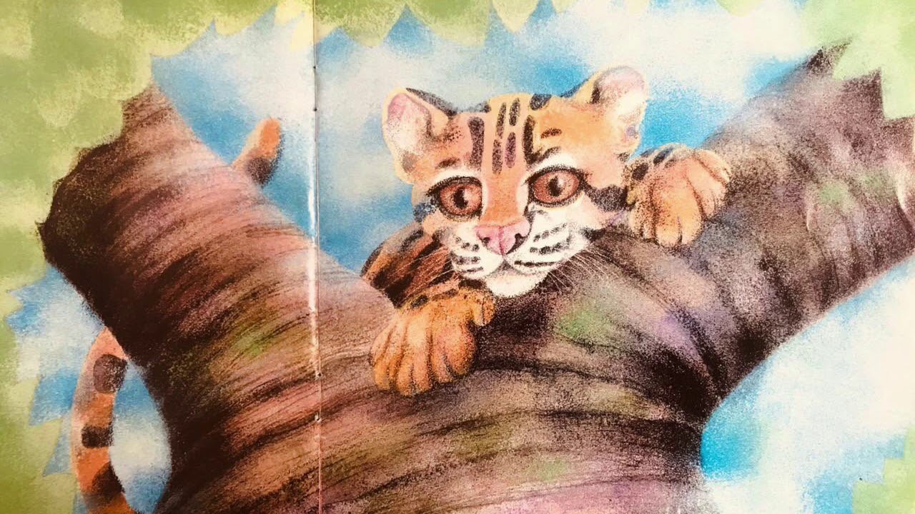 El morralito de ocelote