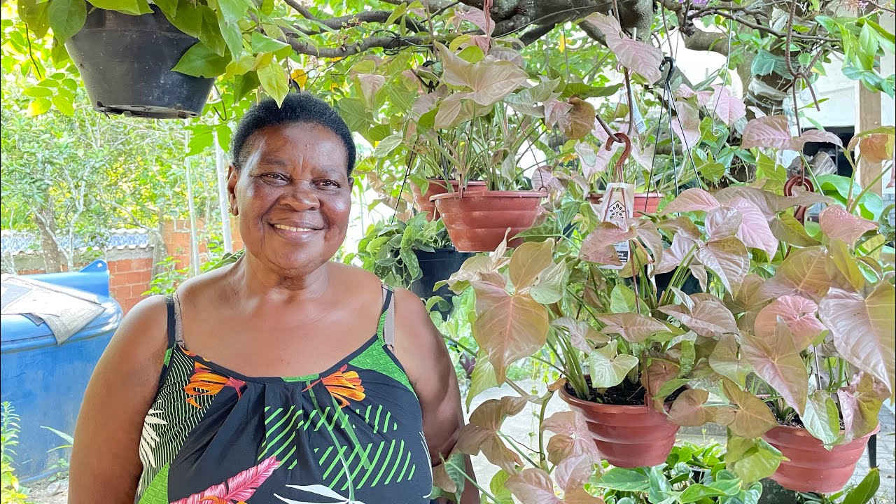 A mamãe Toda Feliz Com A organização Das Plantas e Limpeza do Quintal  🌱