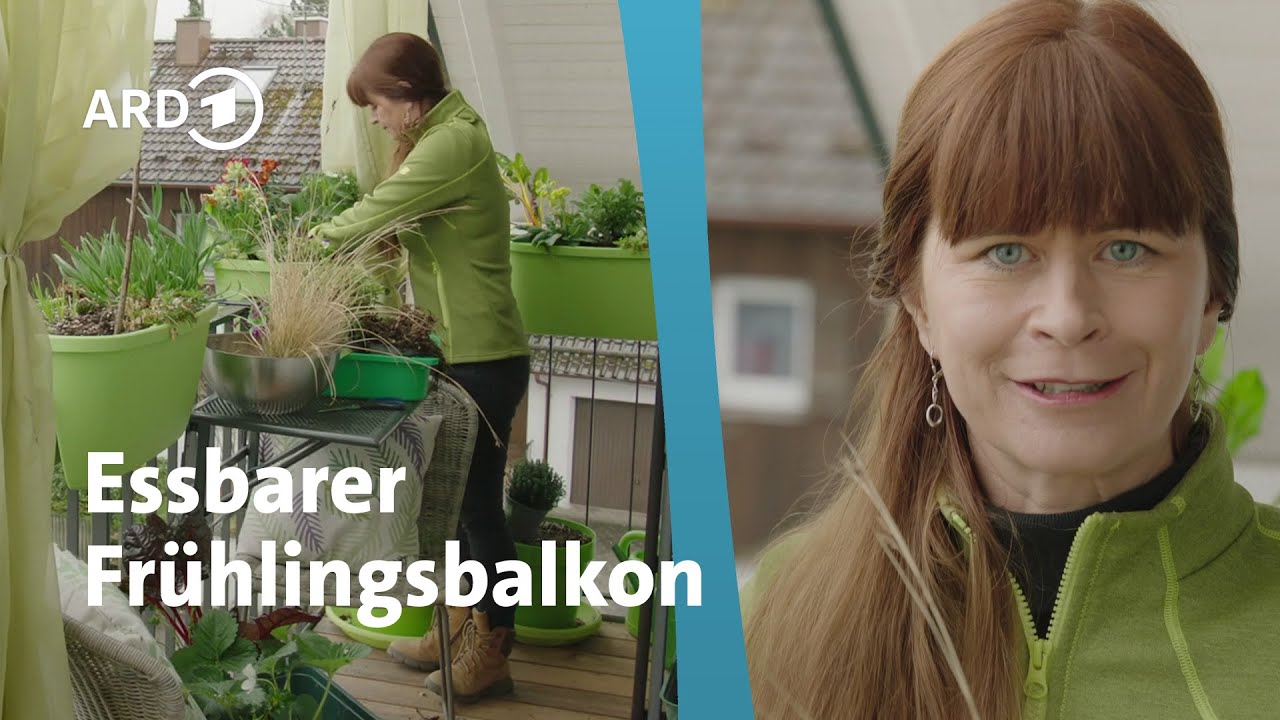 Bunte Pflanzen & essbare Blüten für Balkonkästen │Querbeet
