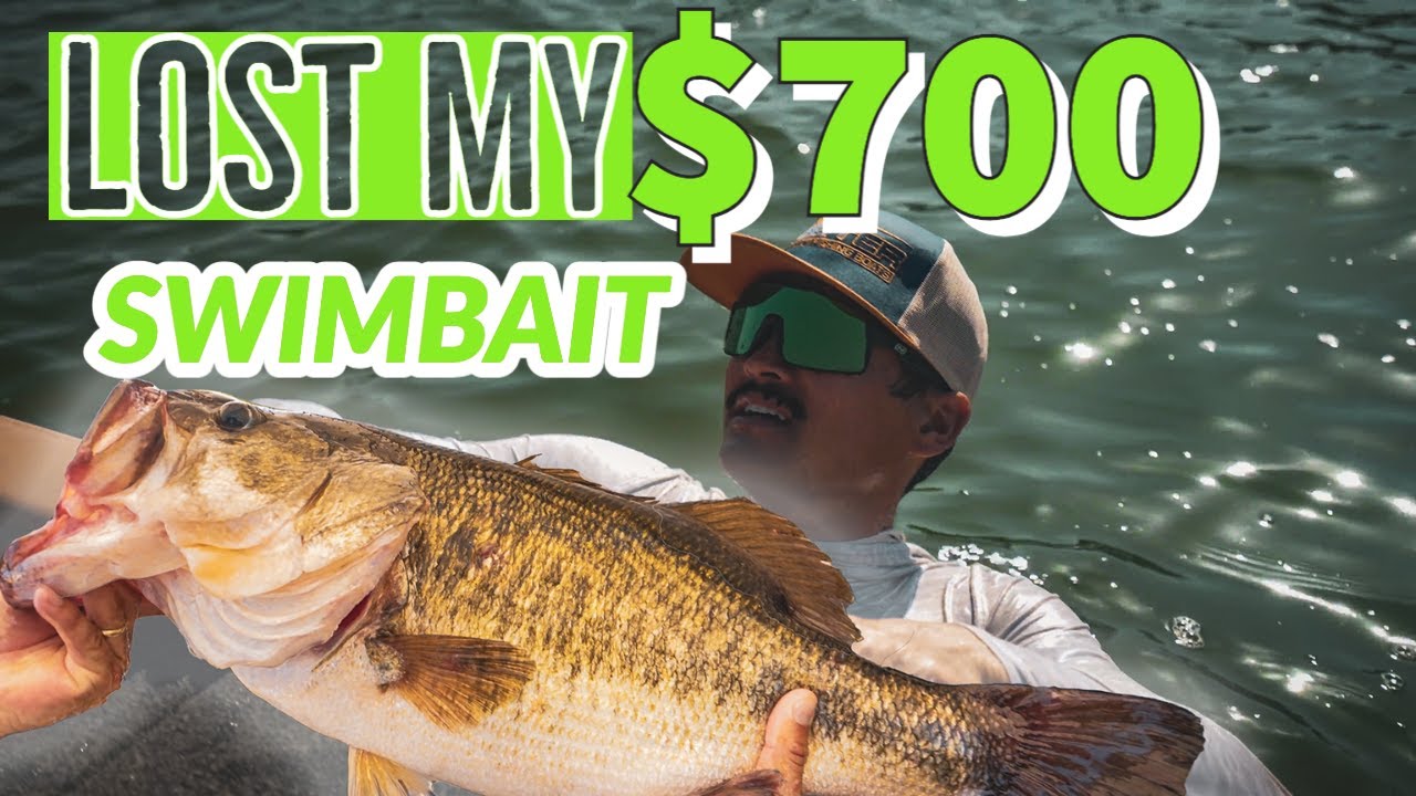 Lost my $700 Swimbait