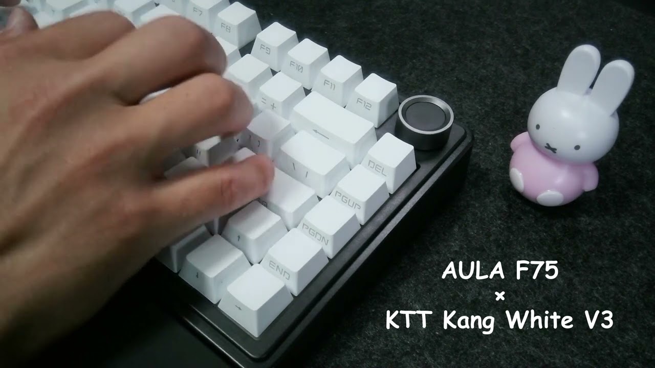 Typing Sound Test │ AULA F75 / Kang White V3 │ #ASMR