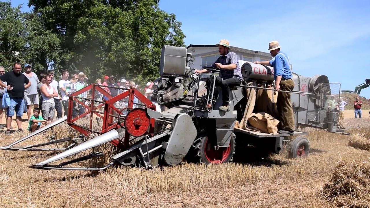Claas Columbus bei der Arbeit 2018 // Oldtimer Mähdrescher