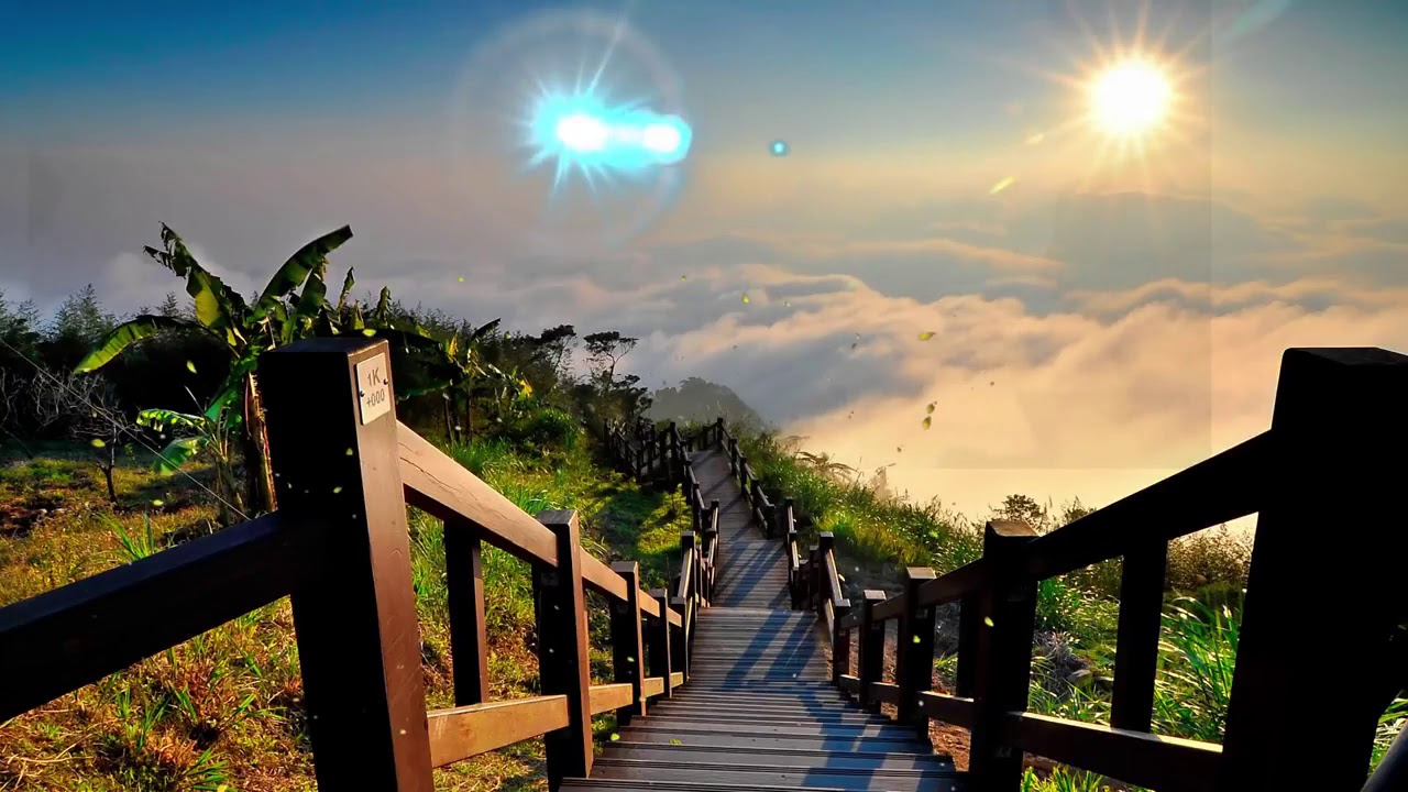 행복 빈도 : 세로토닌, 도파민, 엔돌핀 릴리스 음악, 이명 (Binaural Beats) 편안한 음악
