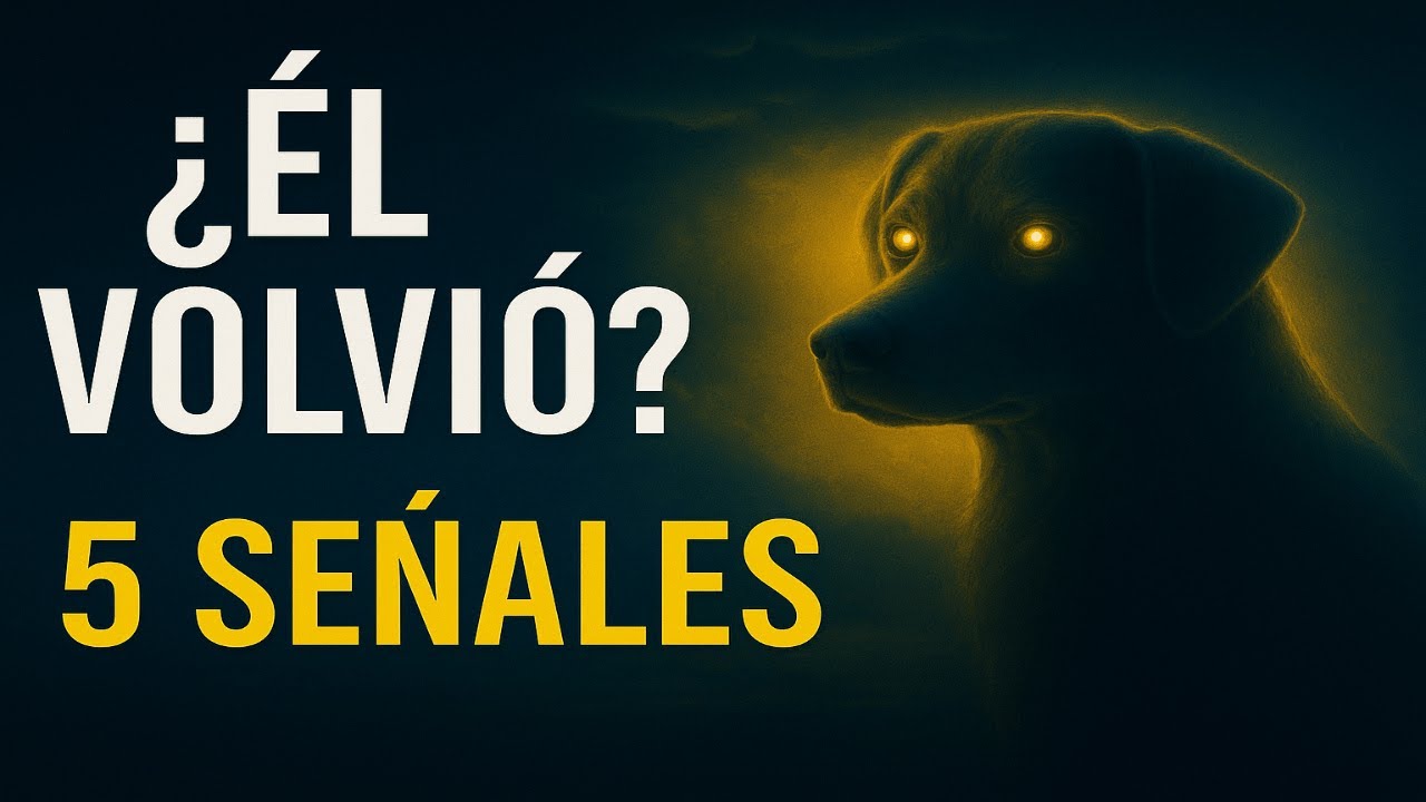 Tu Perro Ya Volvió a Ti – Y Ni Te Diste Cuenta