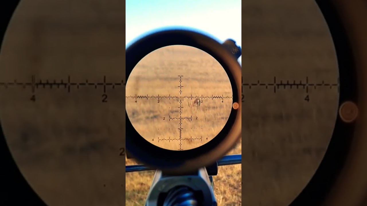 Leupold mark 5 HD 7-35 PR2