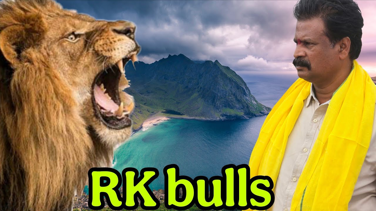 యాగంటి సీనియర్ విభాగంలో  14 RK bulls లయన్ నరసింహ