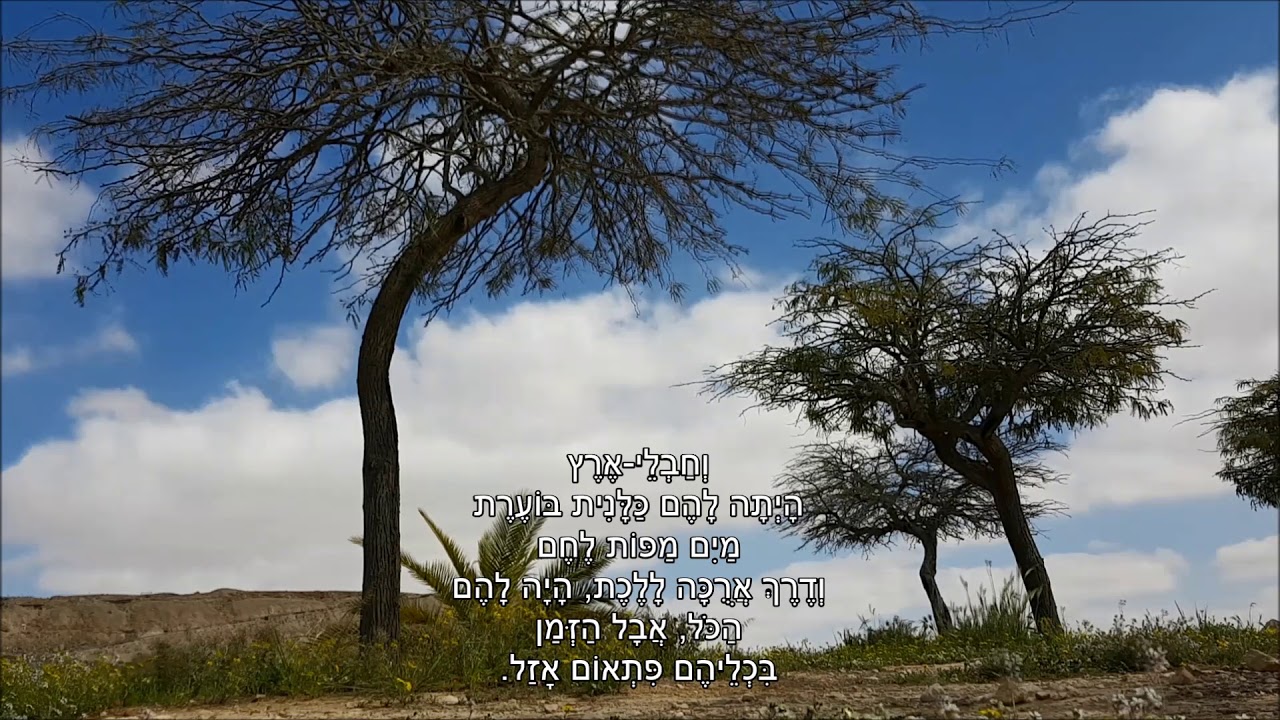 שיר עד - היה לנו הכל - מילים: נתן יונתן | לחן: חיים לוי | ביצוע: רונית אופיר, 1990 - Ronit Ophir