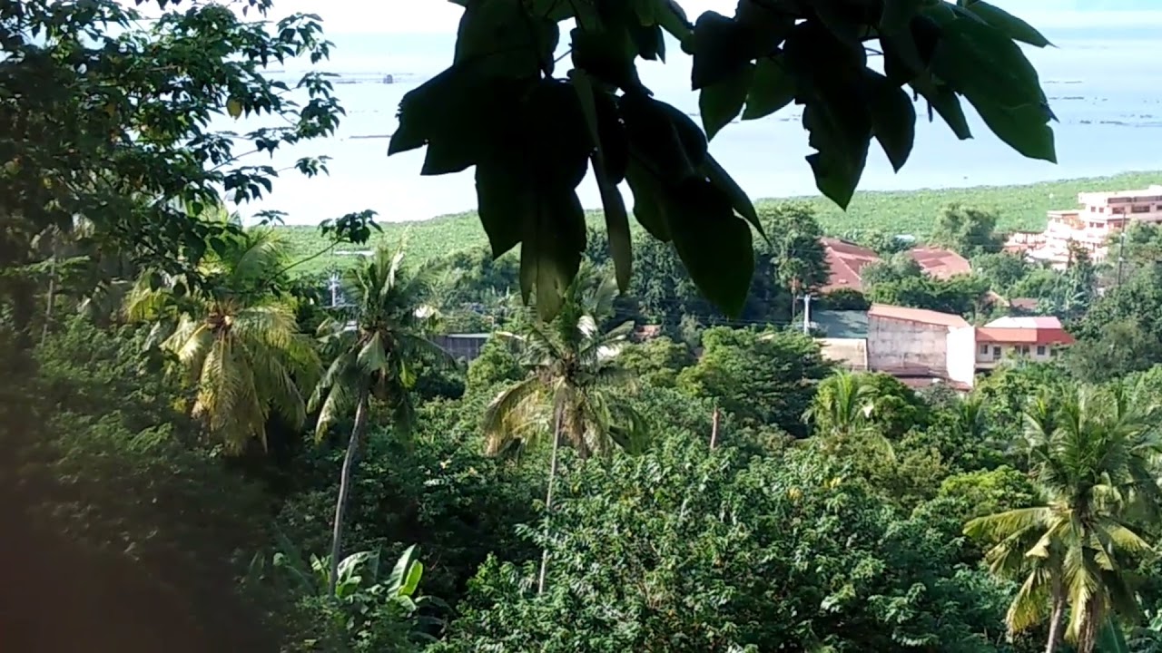 [Archive Video] PNR DEL 922 Compilation - Working as LSI train and DMT - Los Baños Laguna - Mid-2020