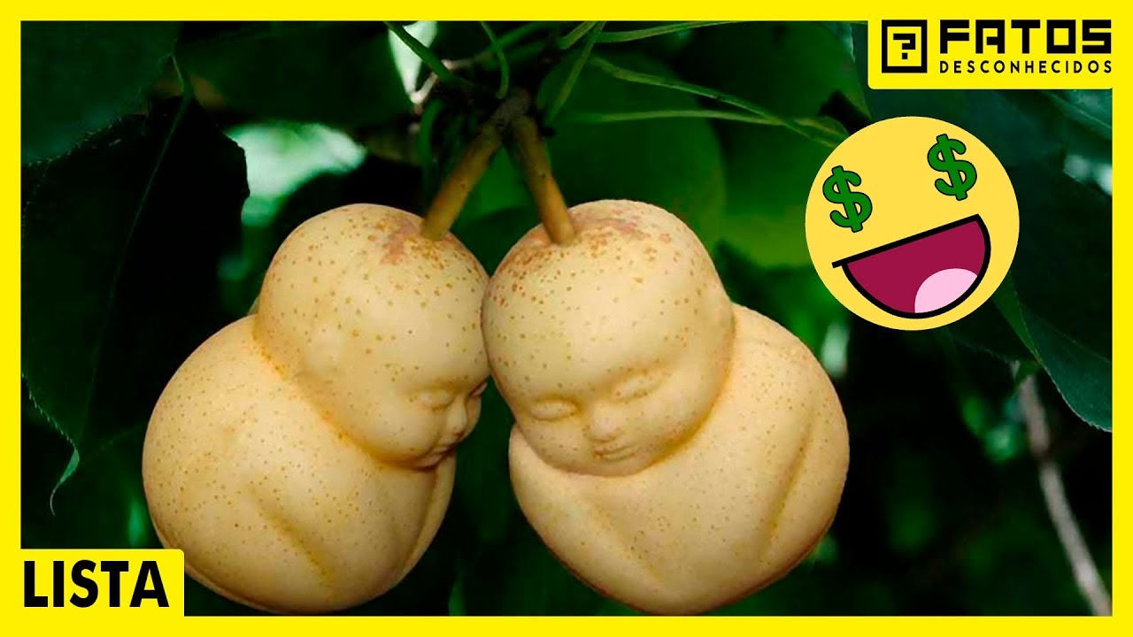 5 frutas que só os RICOS podem comer