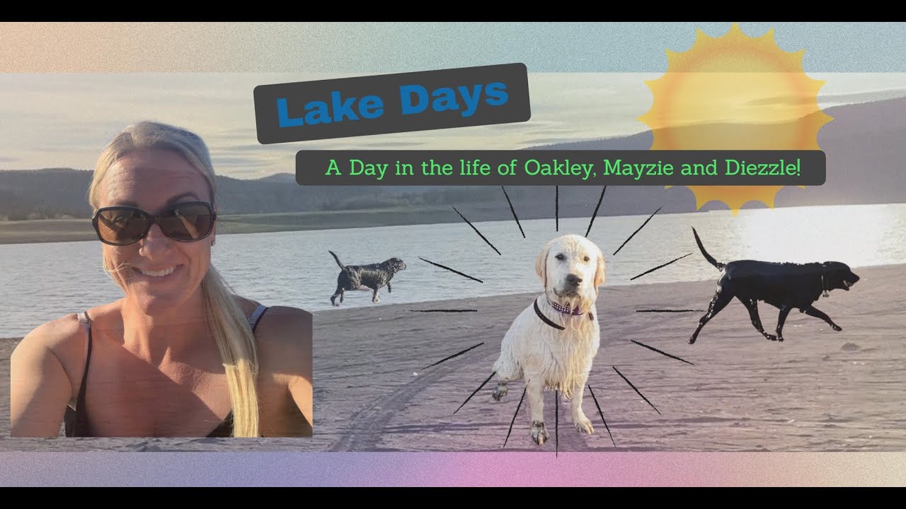 Lake Days - A Day in the Life of Our Fur Babies!