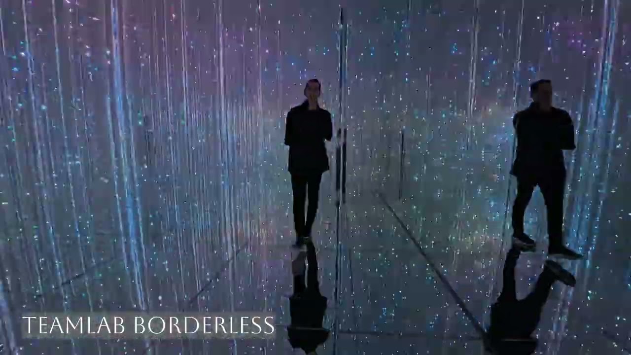 Japan Vlog (Day 2): teamLab Borderless