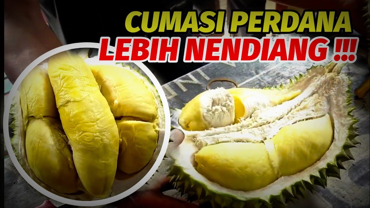 Review Namlung perdana dan lokal premium asli Trenggalek.