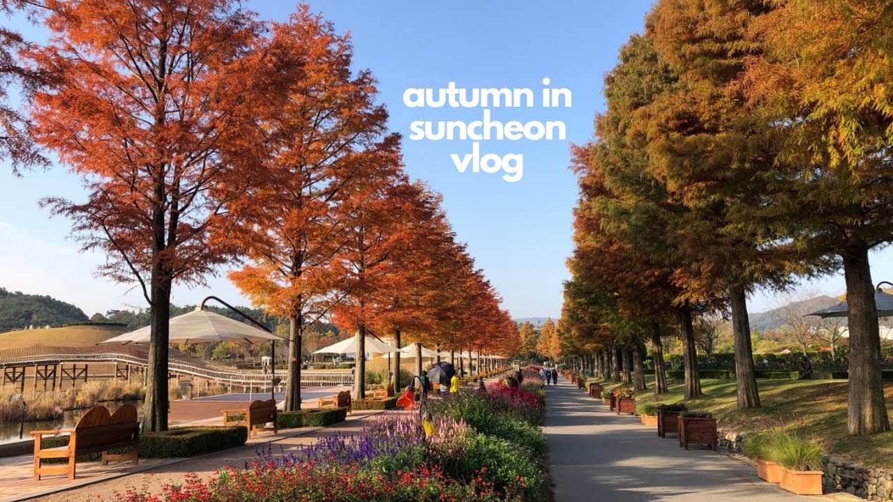 [ep.55] Autumn in Korea weekend trip: Suncheon National Garden & Bay Wetlands, Hanjeongsik | VLOG