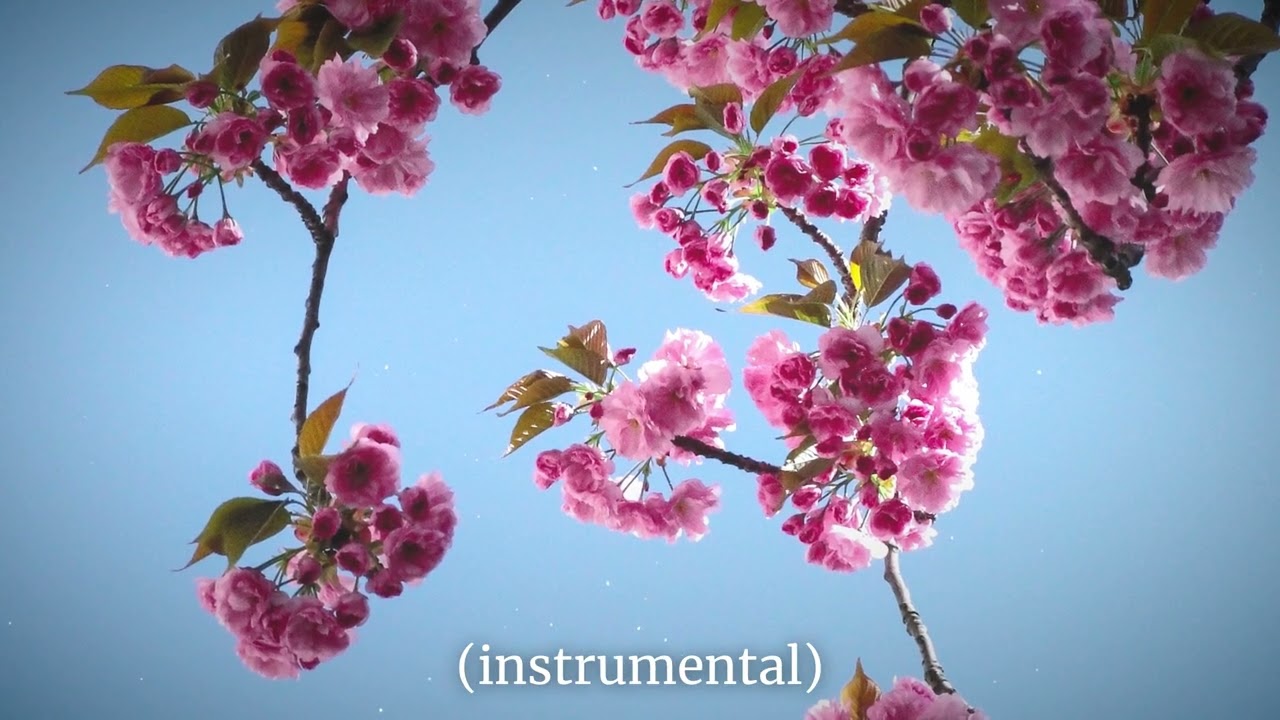 Perhaps Love John Denver Acoustic