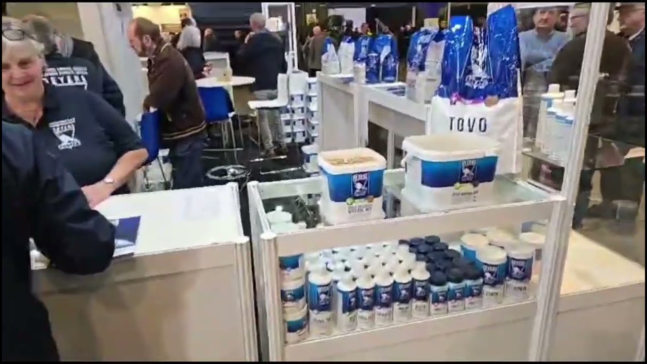 Ярмарка голубеводства в Бельгии. 17.02.2024. Что было?