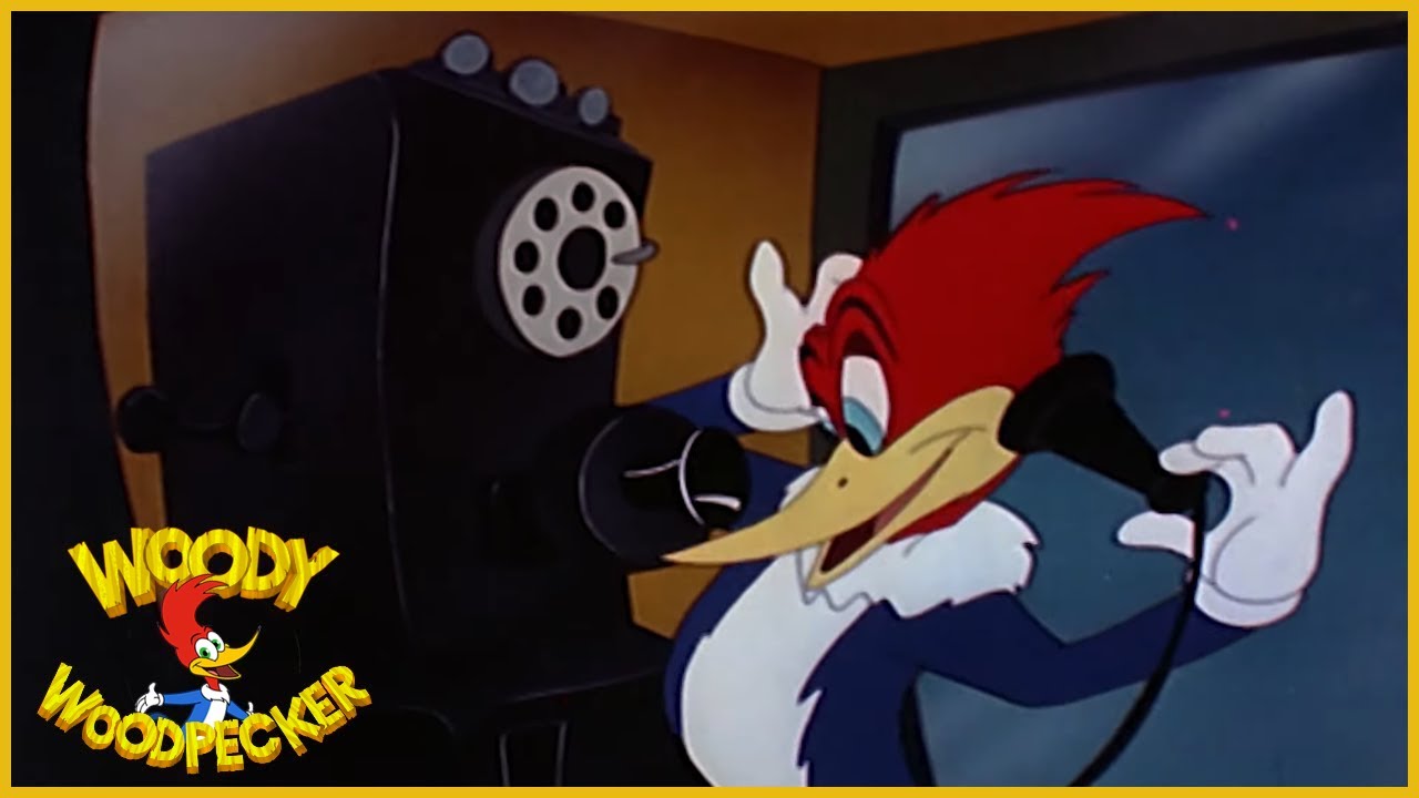 Woody Woodpecker | Chew Chew Bay | Full Episodes