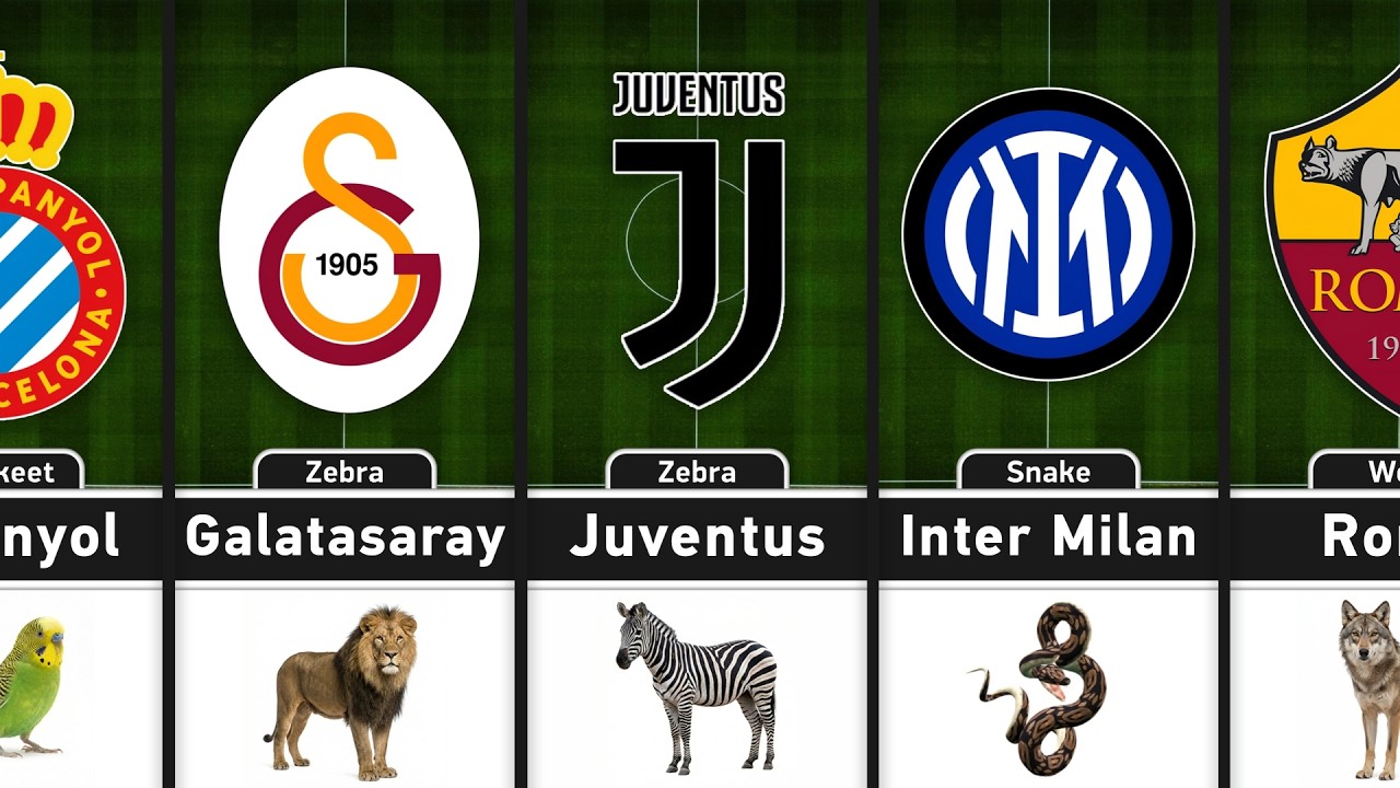Football Clubs With Animal Nicknames | Some of Them You Wont Even Believe