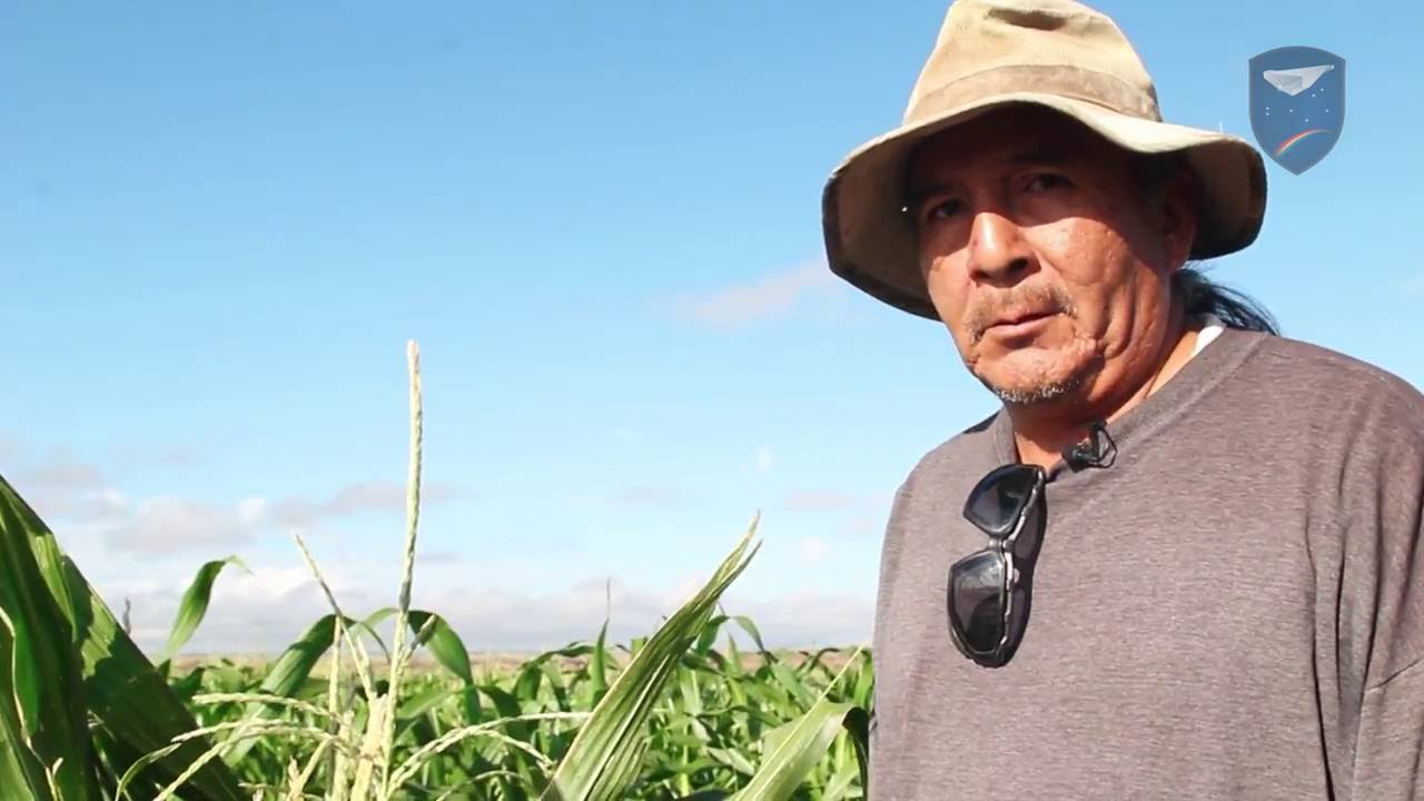 Stacey Jensen, North Leupp Family Farms