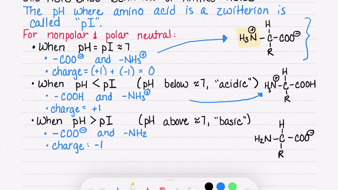 21.3 Acid Base Behavior of Nonpolar and Polar Neutral Amino Acids (Part 1)