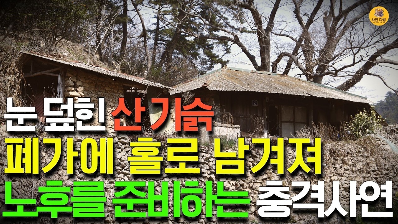 눈 덮힌 오지 산속 폐가에서 노후를 준비할수 밖에 없었던 충격 이유와 반전과 감동의 사연 드라마