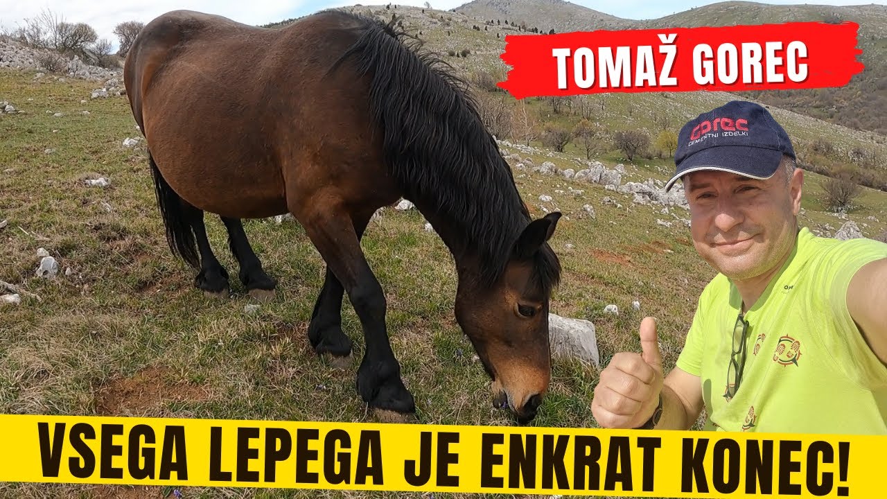 Apartmaji Rab - Kje najti zelo poceni apartmaje na otoku Rab? 🥰 😘