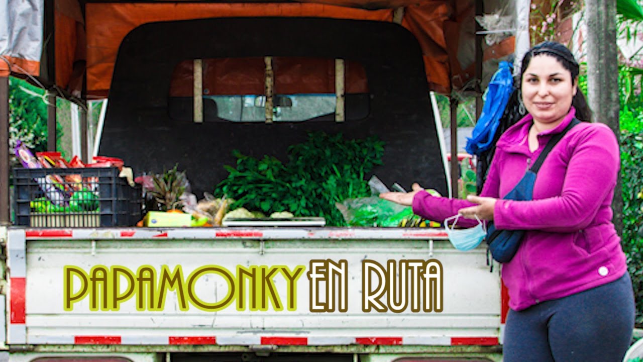 Venta de frutas y verduras en el campo