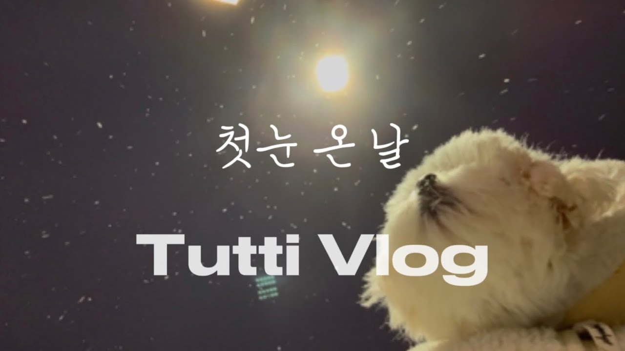 강아지한테 첫눈 보여줬어요 ㅣ 냉이명란파스타 레시피, 벽돌바게트, 스티커DIY