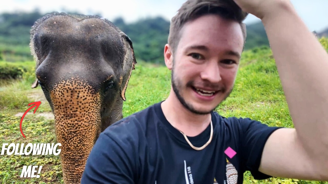 Thailand Elephant Sanctuary HONEST Review 🇹🇭 Should You Do Even Do This?