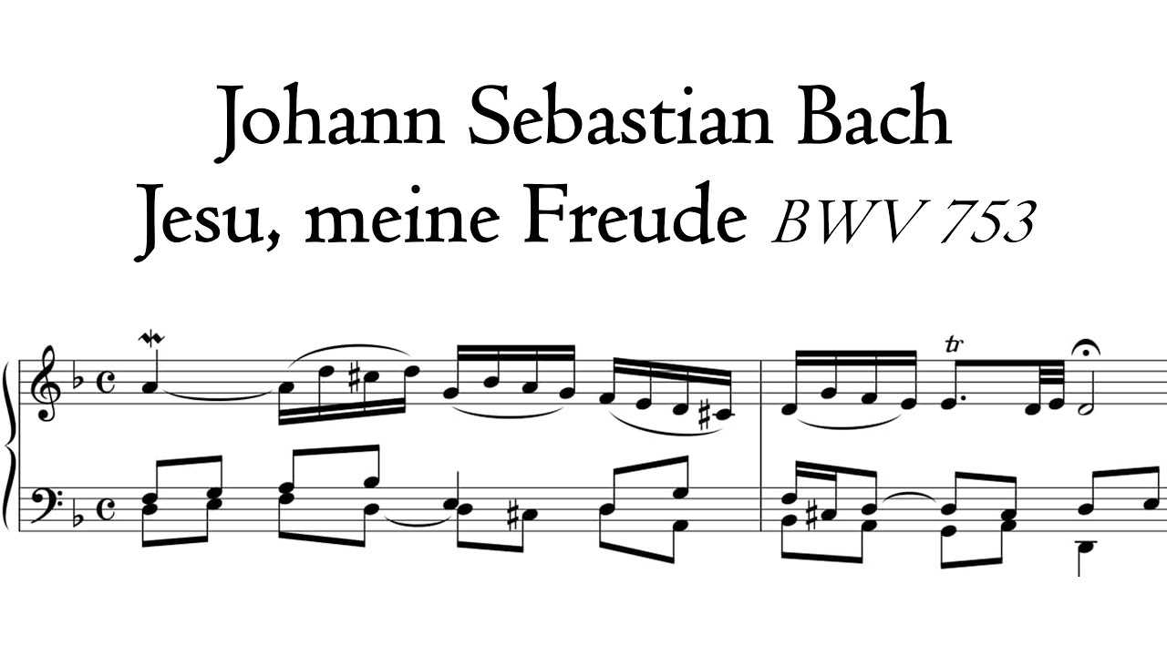Bach - Jesu, meine Freude BWV 753 - Schnitger organ, Martinikerk, Groningen, Hauptwerk
