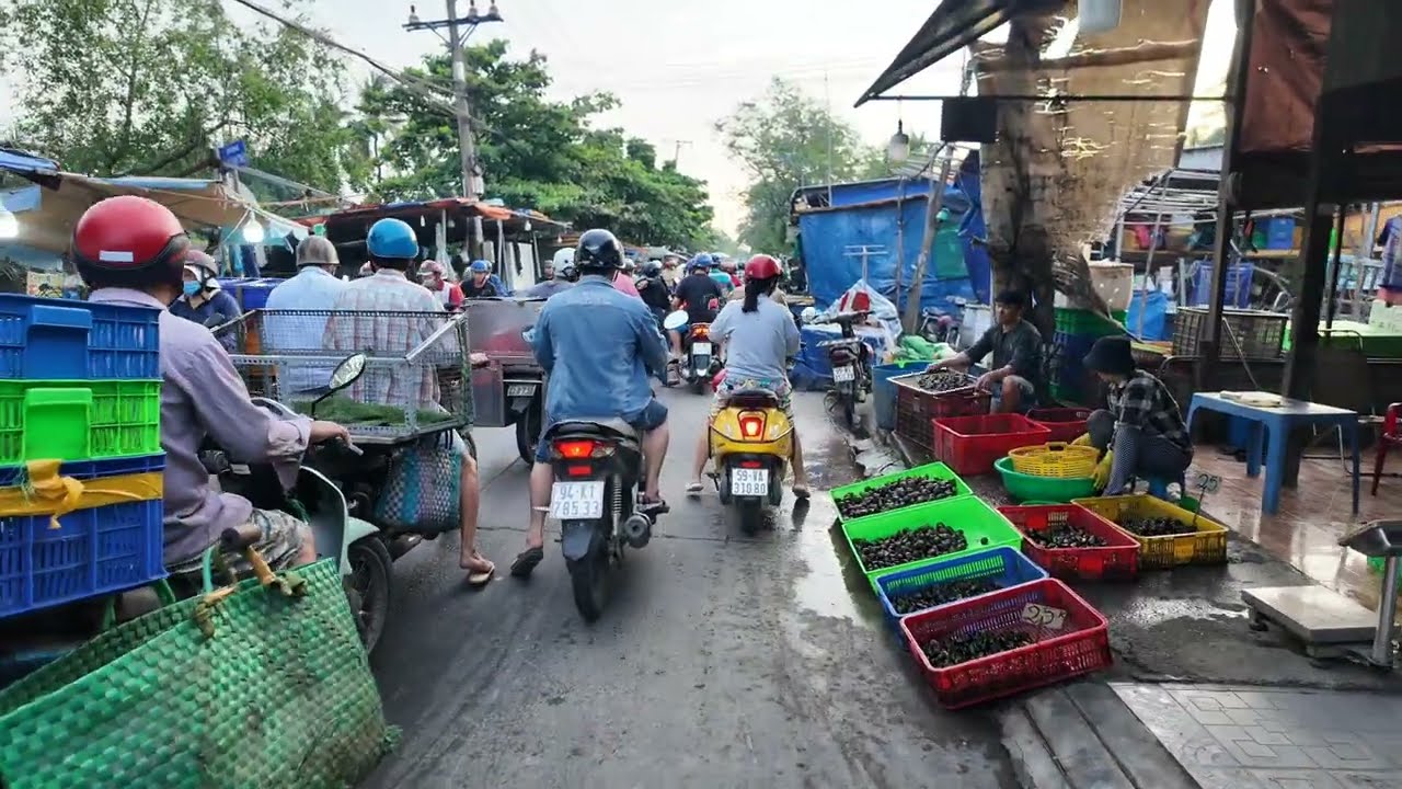 CẢ CHỤC 1000 NGƯỜI ĐI CHỢ BÃO SỐ 5 - KHÔNG NGỜ CÁ, HẢI SẢN GIÁ RẺ KỶ LỤC ĐỔ ĐỐNG 