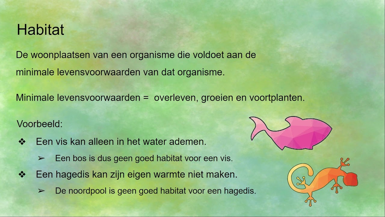 Habitat en Biotoop