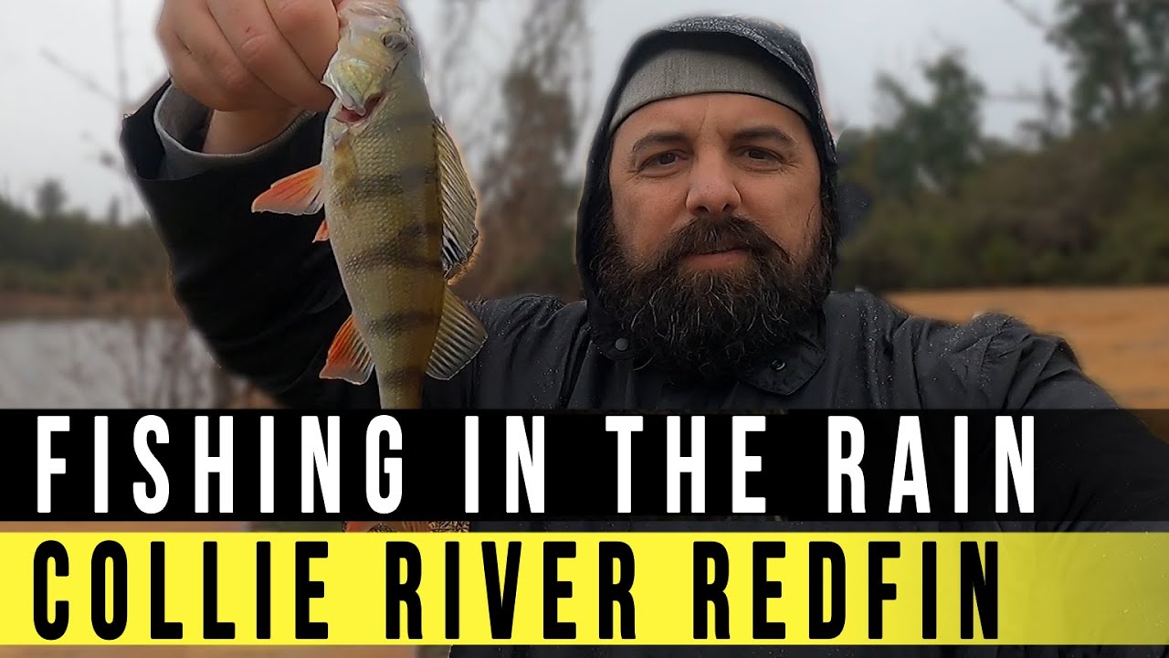 Fishing in the Rain - Collie River Redfin