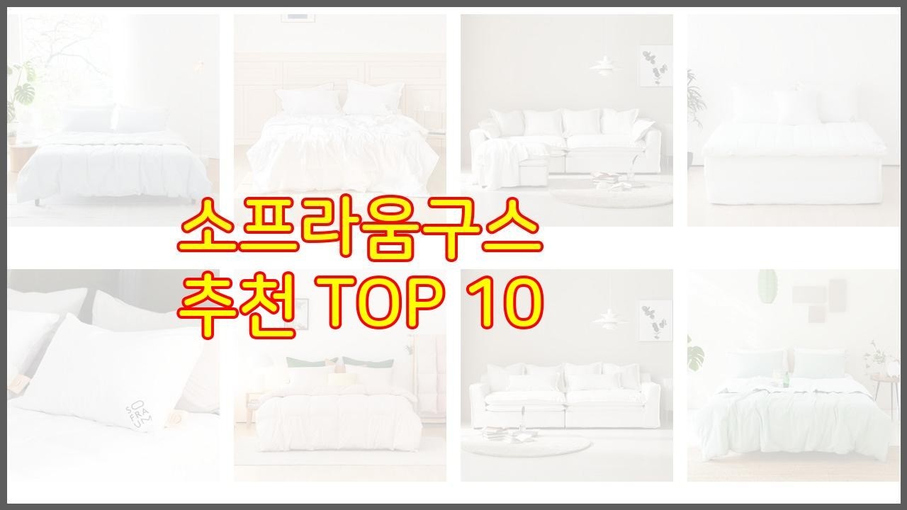소프라움구스 추천 세심한 소비자를 위한 가격, 품질, 구매량을 고려한 상품 10가지