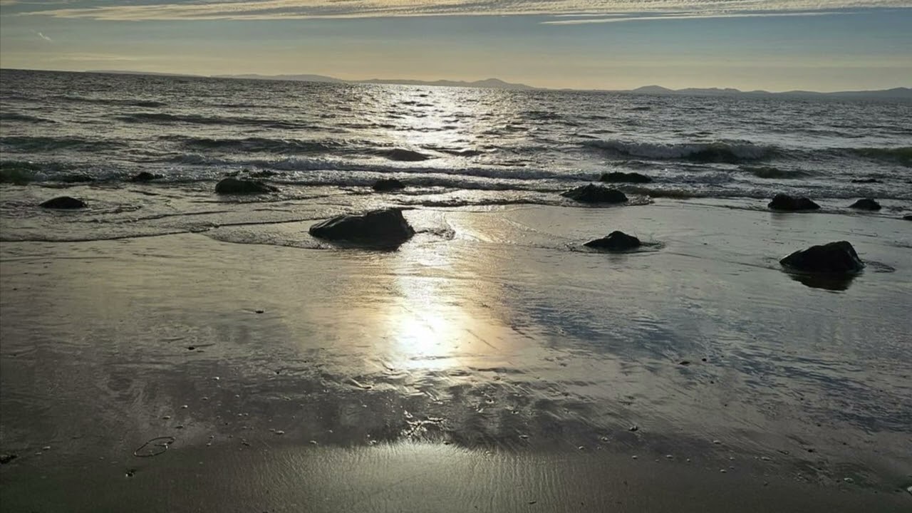 Ocean - Owen Nock