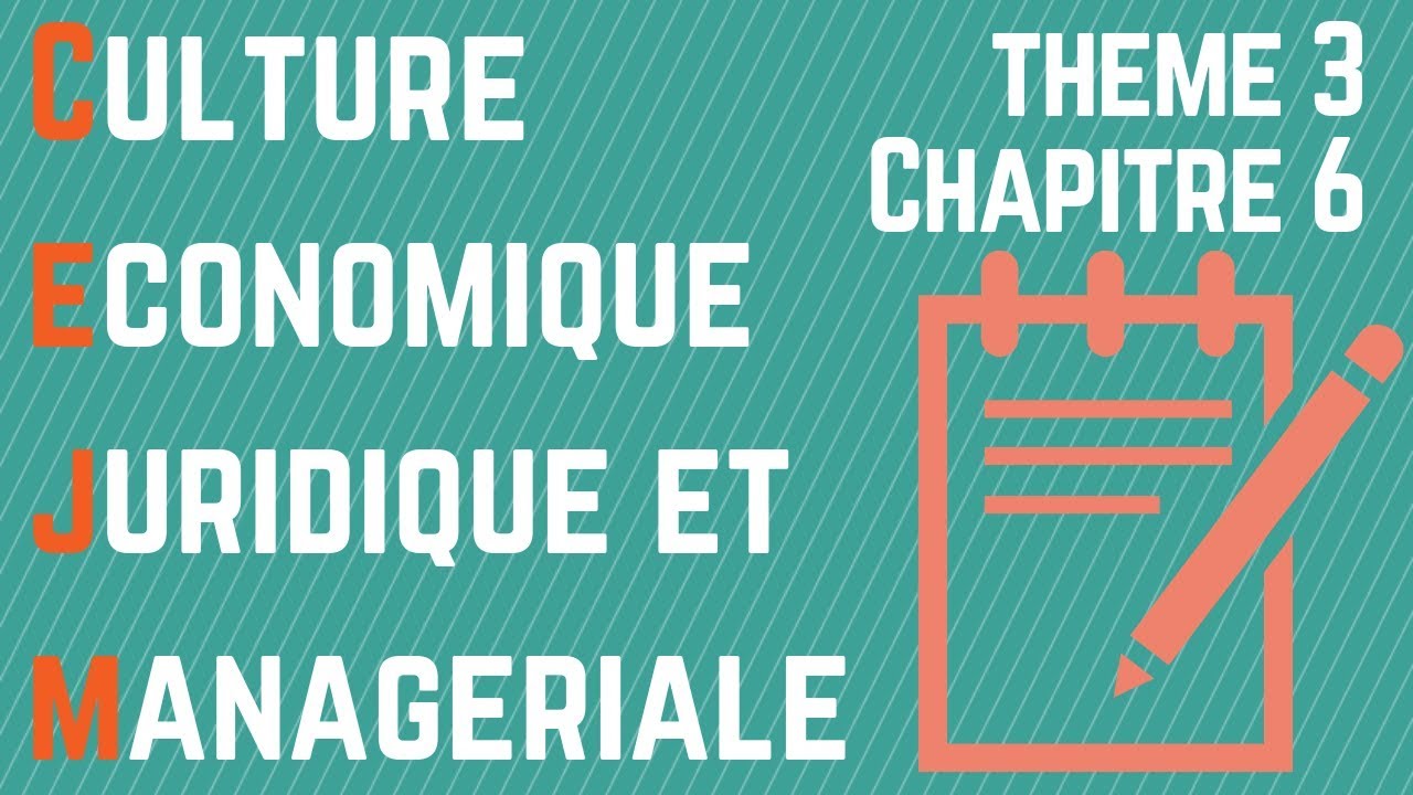 CEJM - Th3 Chap6 : L'organisation des ressources et des compétences