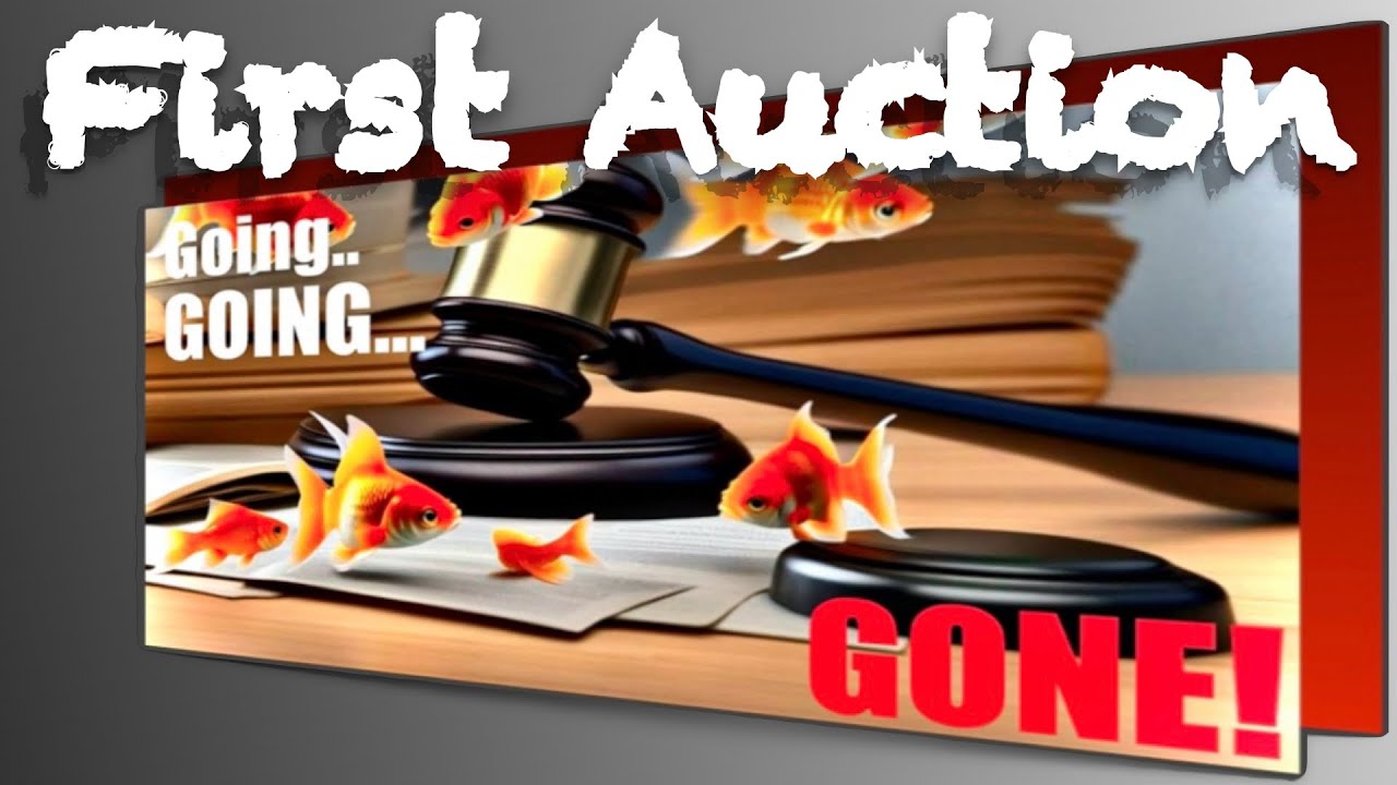 my first Tropical fish auction experience  (N.E.T.S)