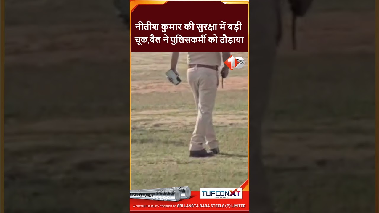 Begusarai: Major lapse in Nitish Kumar's security, bull enters helipad, police panic